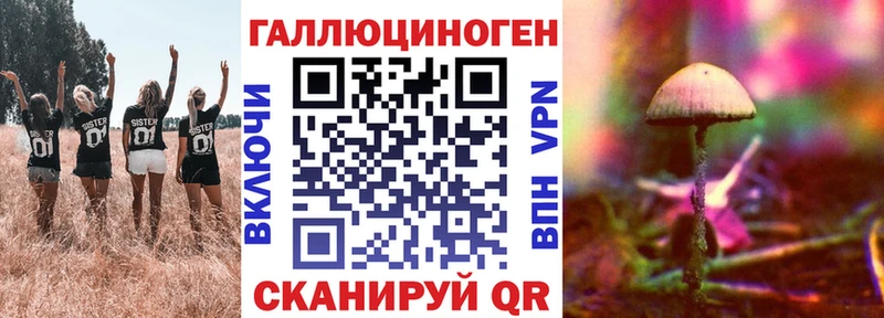 что такое наркотик  Калининград  мега маркетплейс  Псилоцибиновые грибы мицелий 
